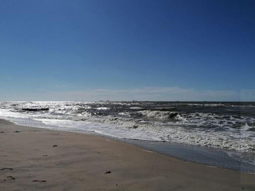 Bright Holiday Home In Noordwijk Near Sea Esterno foto