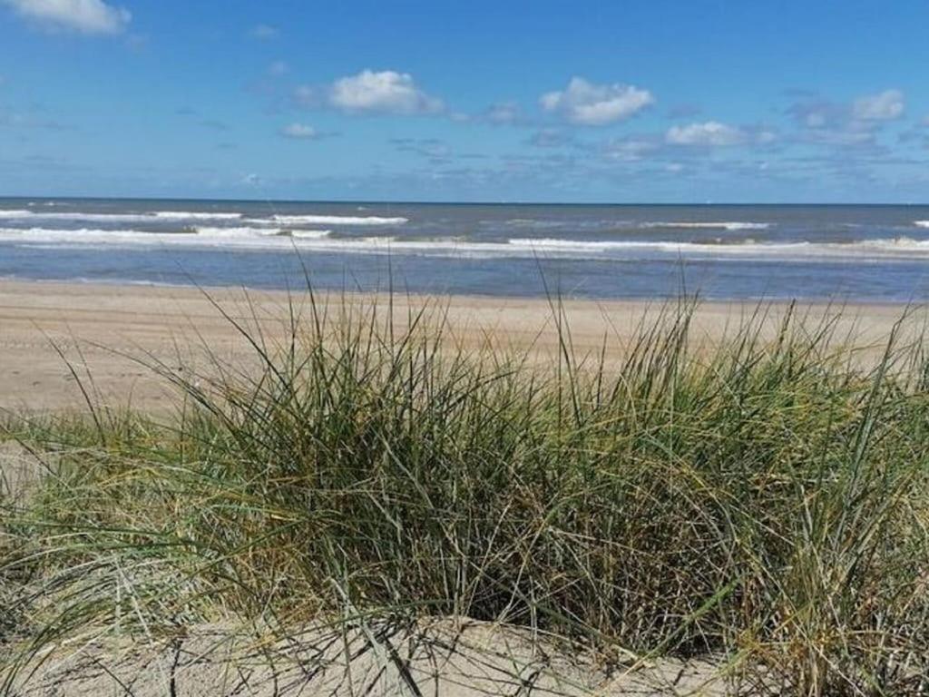 Bright Holiday Home In Noordwijk Near Sea Esterno foto